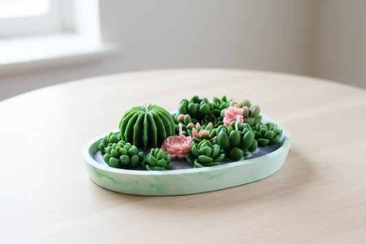 Kaktüs & Sukulent Mum Bahçesi